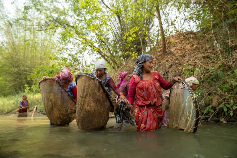 Voyage au Népal, Femmes Tharus pratiquant la pêche traditionnelle