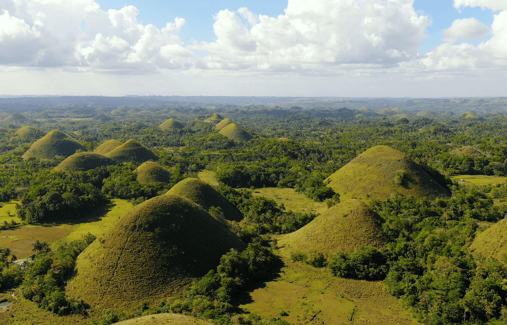 Chocolate Hills aux Philippines