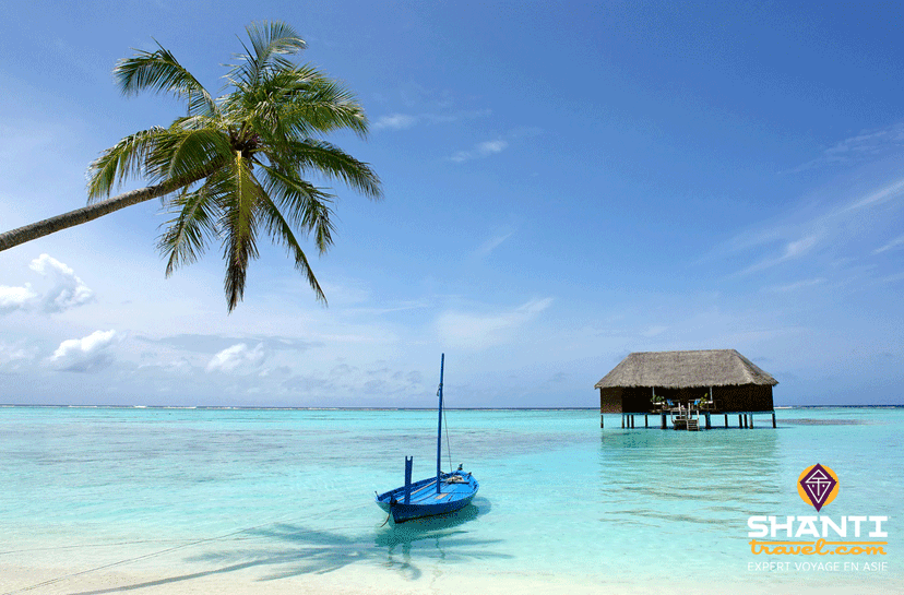 bonnes-raisons-partir-maldives.htm