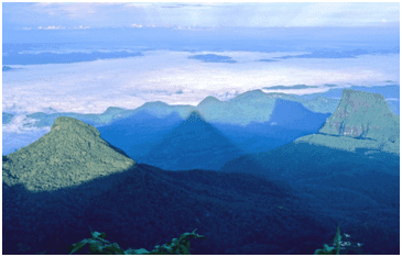 the-adams-peak-climb-in-sri-lanka.htm