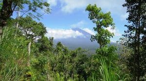 visite-refugies-mont-agung-bali.htm
