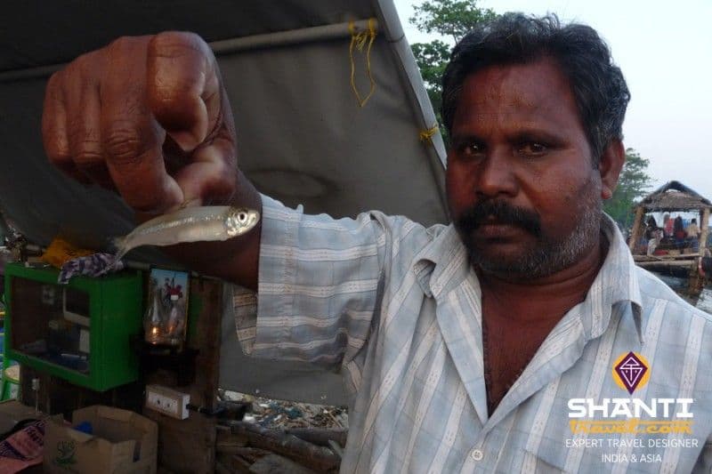 fort-kochi-ville-dhistoire-de-pecheurs-et-de-negoces-au-kerala.htm