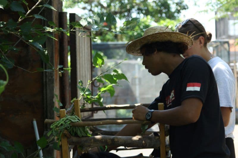 immersion-refuge-animalier-fondation-friends-of-national-parks.htm