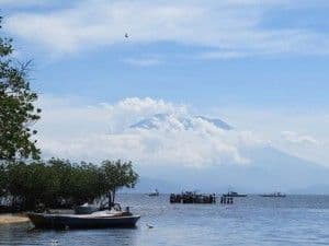 jai-plane-avec-les-raies-manta.htm