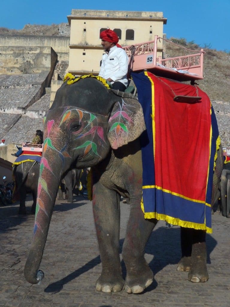 montee-au-fort-damber-de-jaipur-dos-delephant.htm