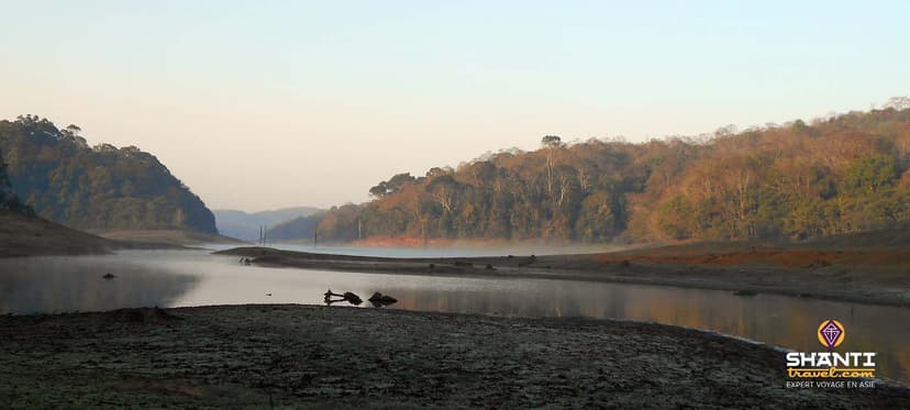 periyar-vie-sauvage-kerala.htm