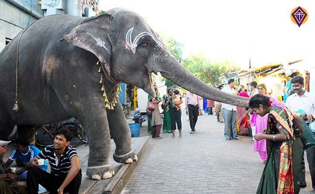 shanti-fete-le-printemps-un-cadeau-vous-attend.htm