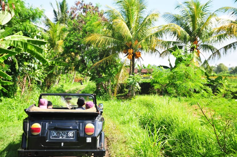 top-5-experiences-shanti-travel.htm