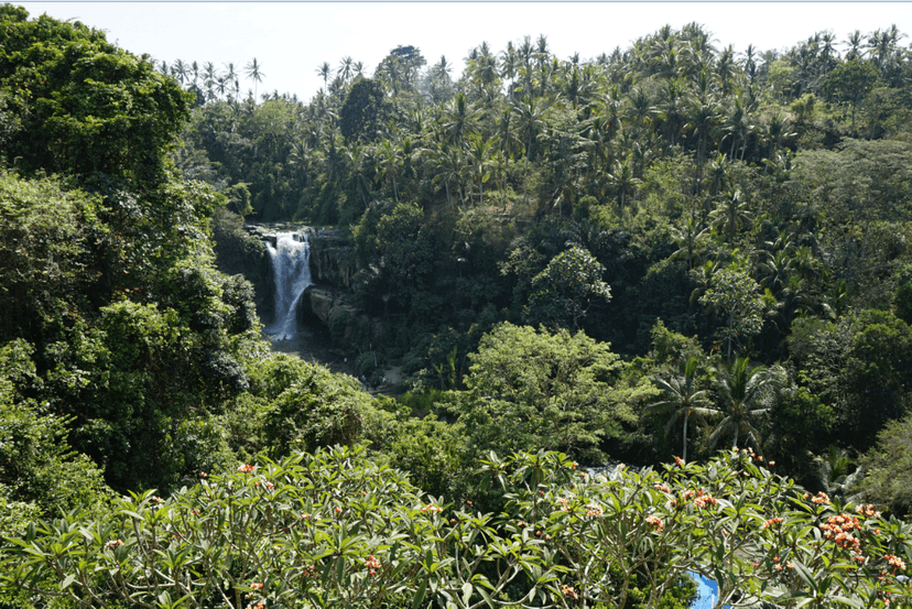 top-5-des-cascades-a-bali.htm