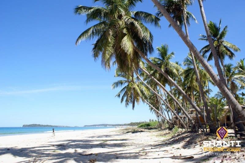 top-5-des-plus-belles-plages-du-sri-lanka.htm