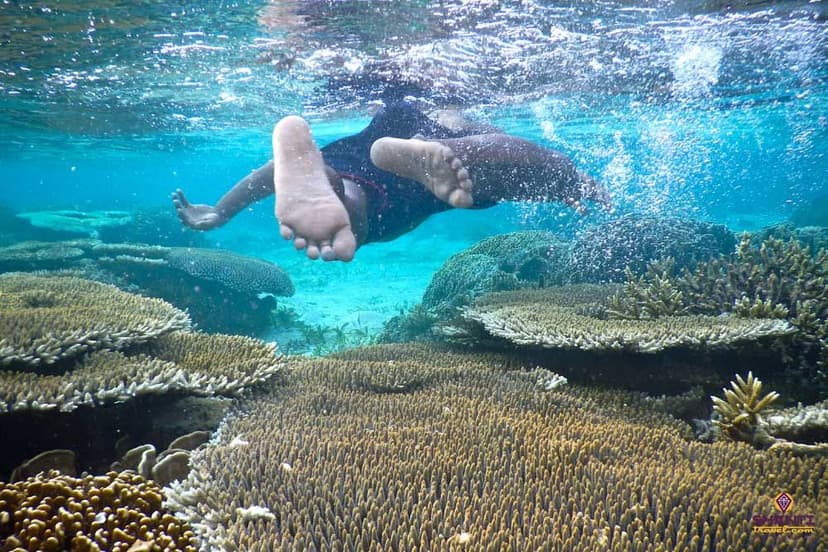 top-5-spots-for-scuba-diving-in-indonesia.htm