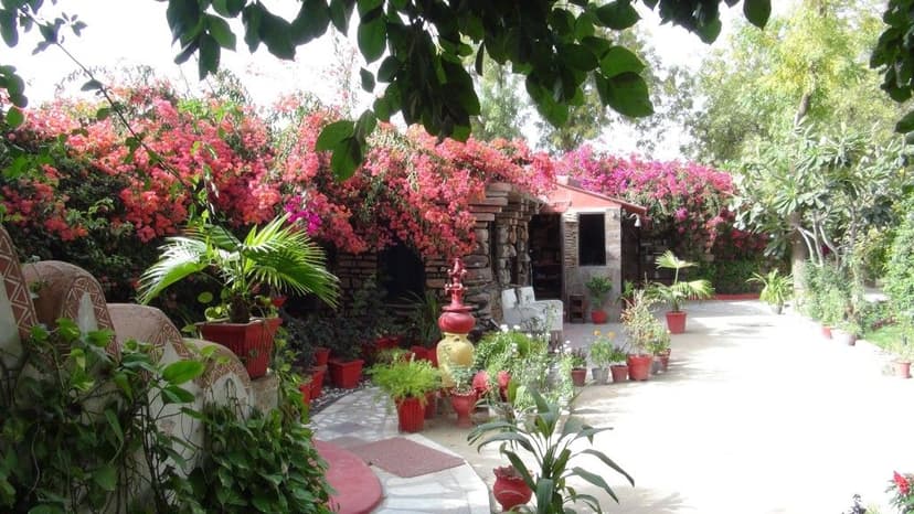 tourisme-responsable-mandore.htm