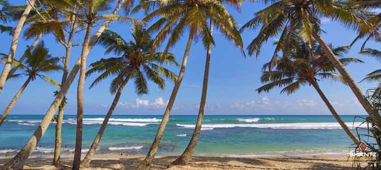 traveling-local-travel-agency-in-sri-lanka.htm