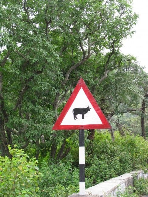 udaipur-und-meine-erste-rajasthanreise.htm