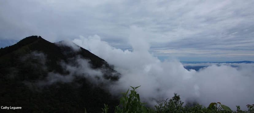 un-trek-inoubliable-au-sri-lanka.htm