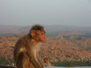 voyage-hampi-en-inde-du-sud-2.htm
